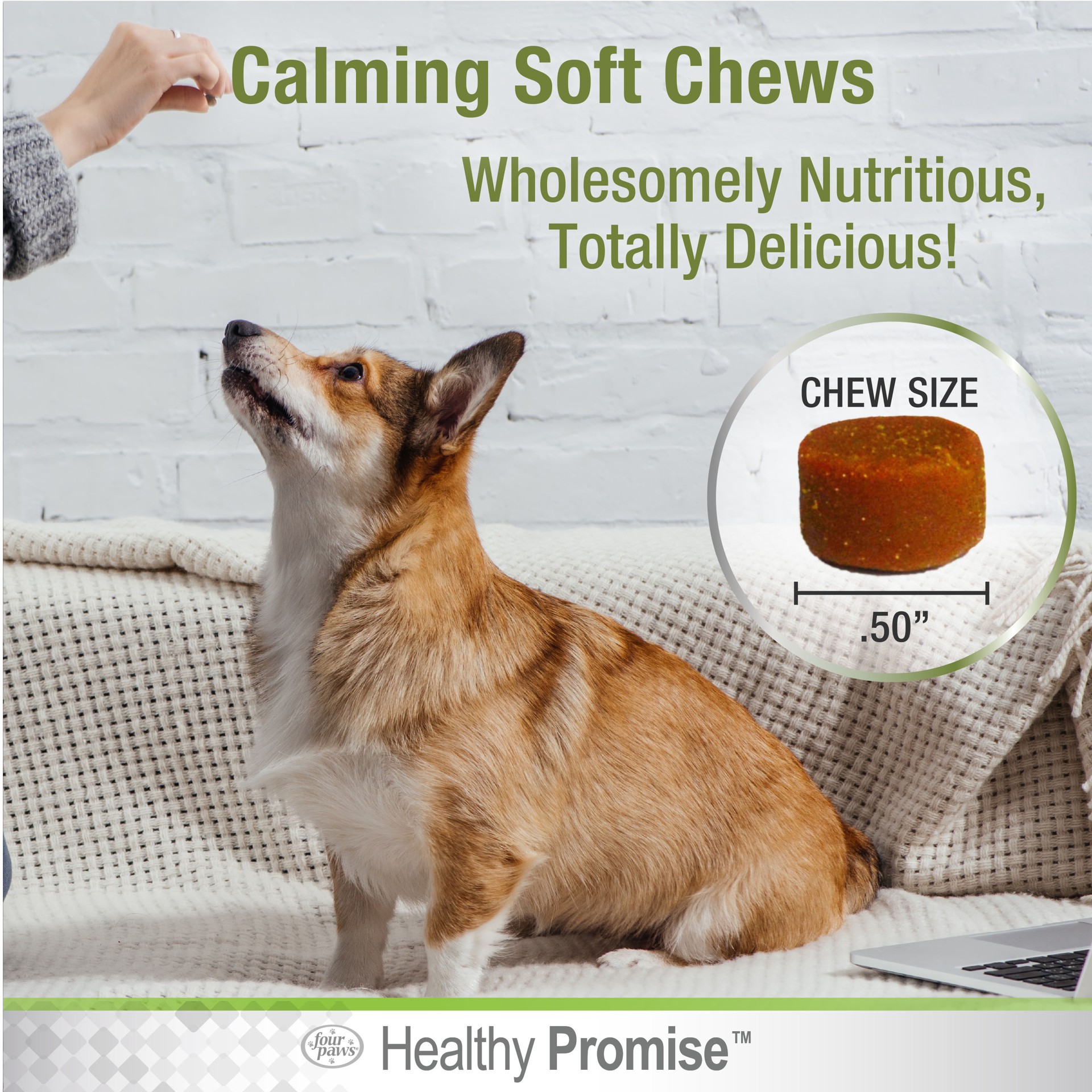 slide 10 of 10, Four Paws Healthy Promise Calming Chews for Dogs 90 Count, 90 ct