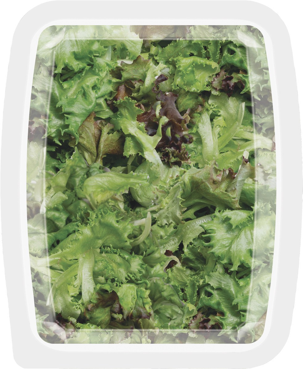 slide 2 of 5, Earthbound Farm Greenhouse Baby Green + Red Leaf, 4 oz