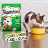 slide 18 of 29, TEMPTATIONS Seafood Medley Flavor Adult Dry Cat Food, 20 lb. Bag, 20 lb