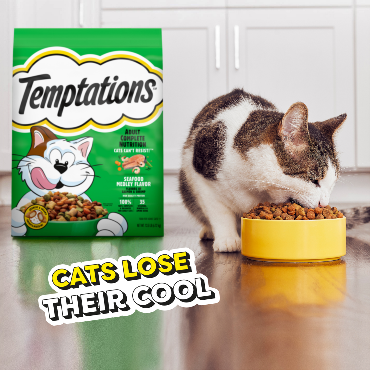 slide 25 of 29, TEMPTATIONS Seafood Medley Flavor Adult Dry Cat Food, 20 lb. Bag, 20 lb