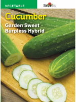 slide 1 of 1, Burpee Garden Sweet Burpless Hybrid Cucumber Seeds - Green, 1 ct