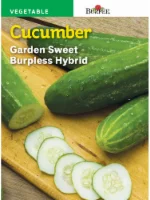 Burpee Garden Sweet Burpless Hybrid Cucumber Seeds - Green