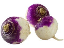 Turnip