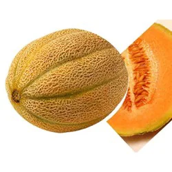 Orange Flesh Honeydew #3