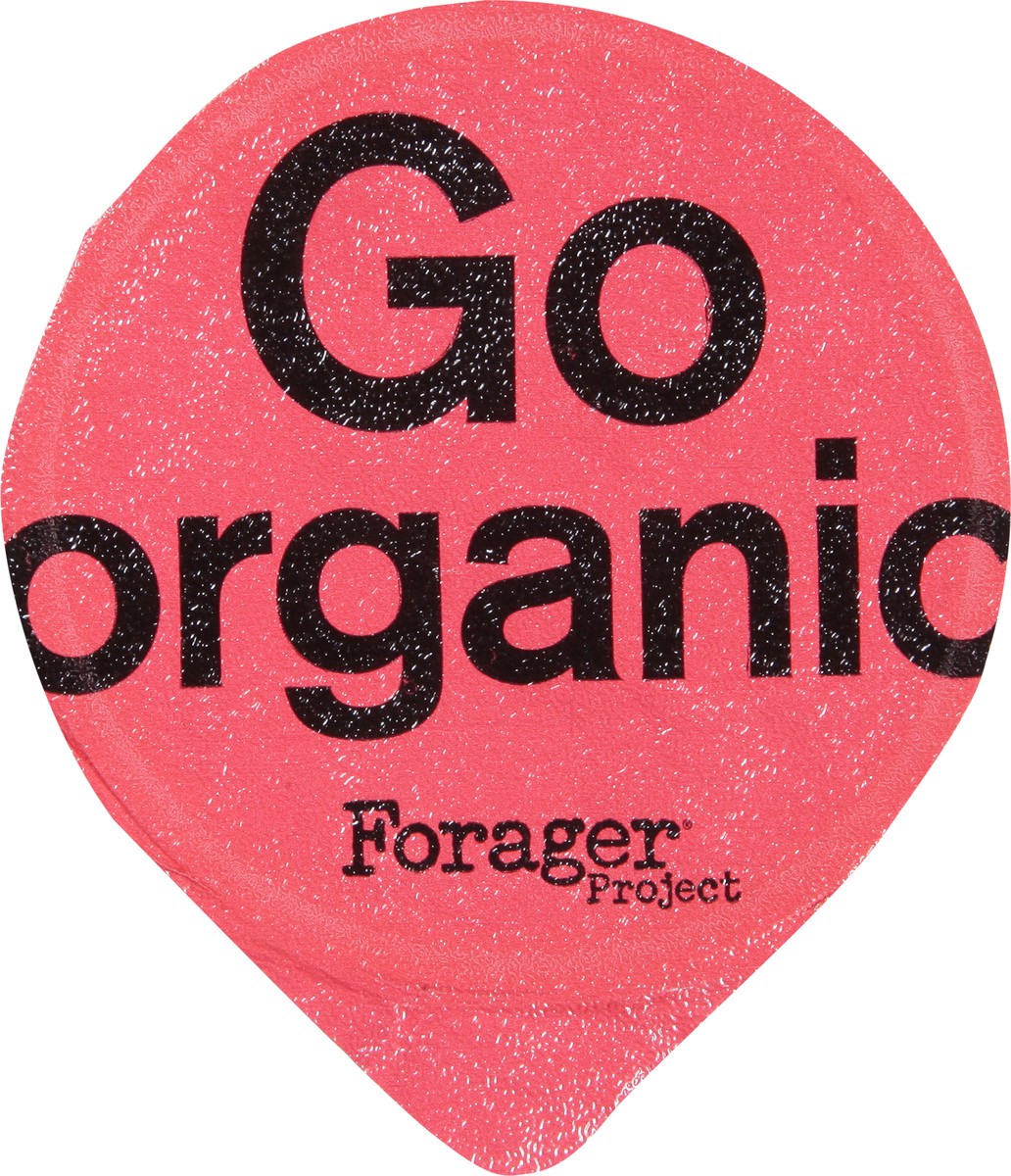 slide 3 of 14, Forager Project Organic Strawberry Cashewmilk Yogurt 5.3 oz, 5.3 oz