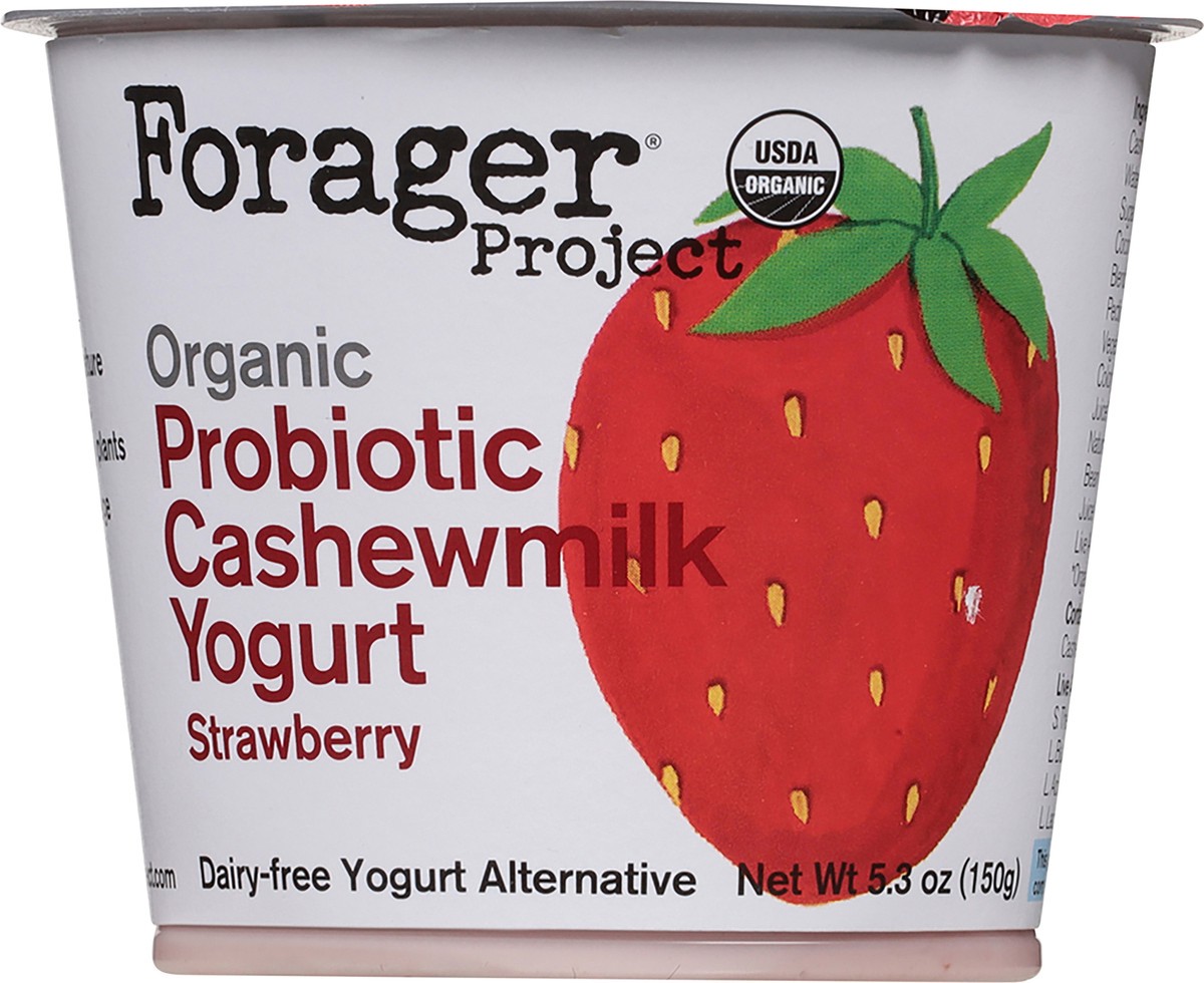 slide 8 of 14, Forager Project Organic Strawberry Cashewmilk Yogurt 5.3 oz, 5.3 oz