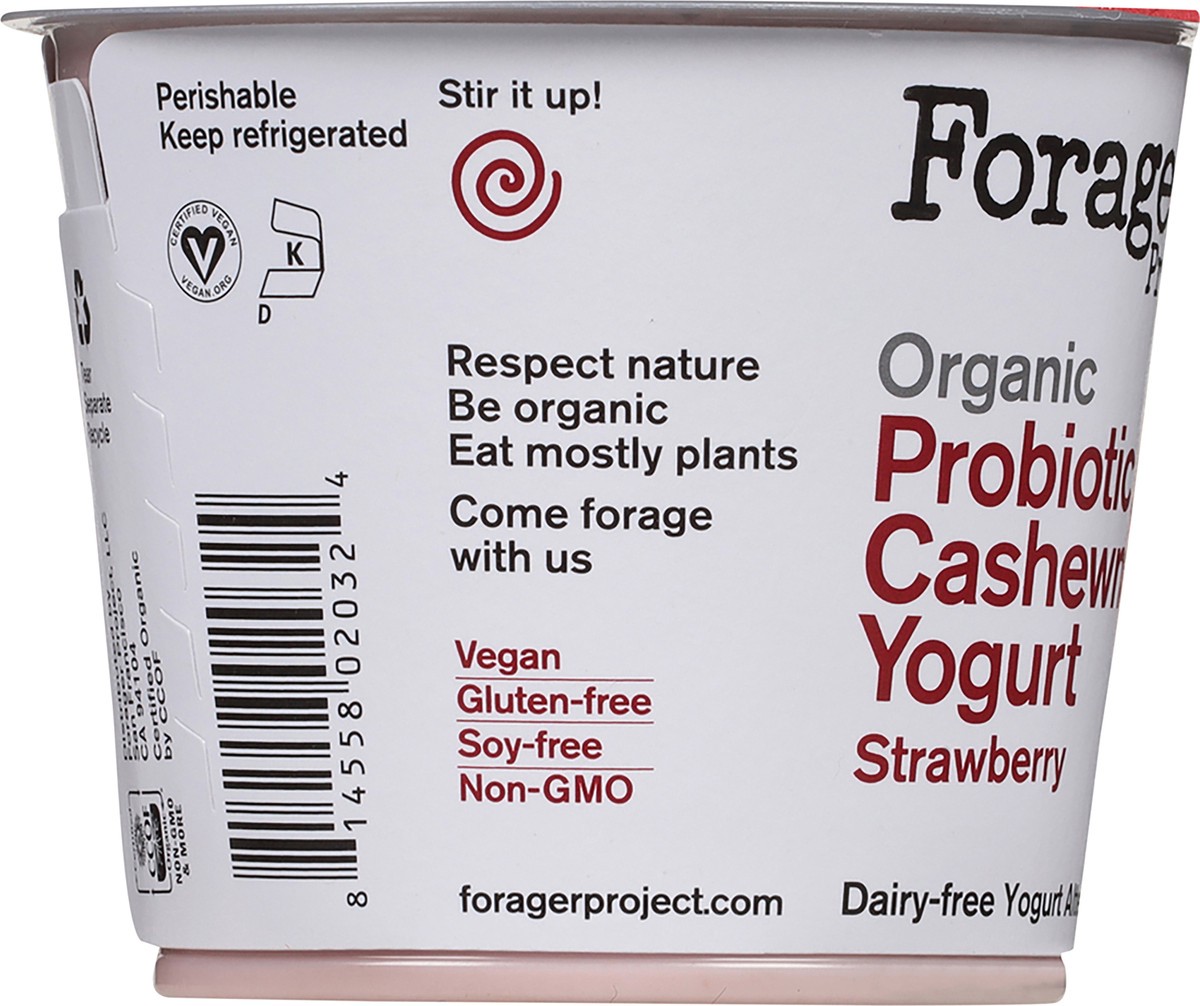 slide 13 of 14, Forager Project Organic Strawberry Cashewmilk Yogurt 5.3 oz, 5.3 oz
