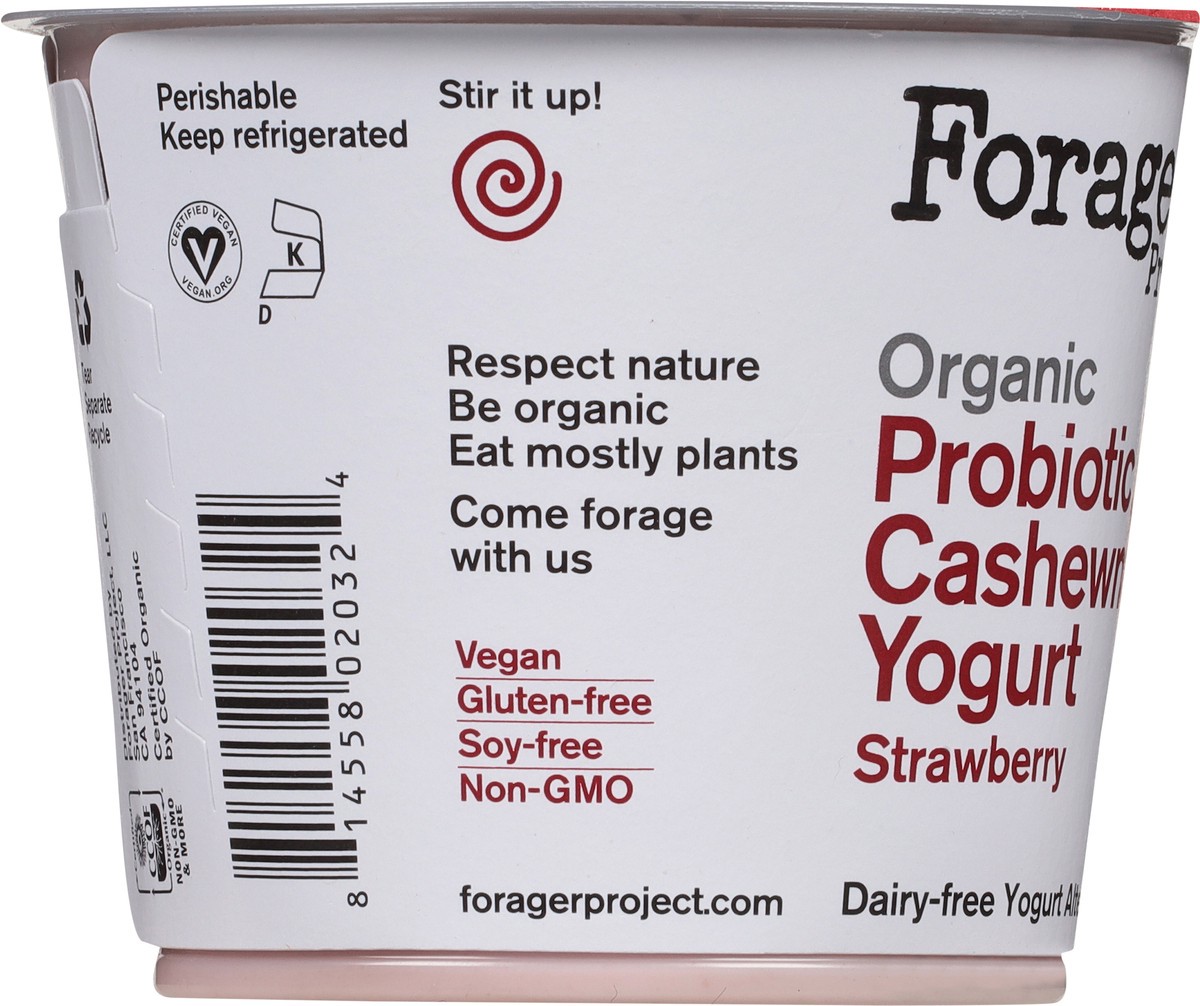 slide 11 of 14, Forager Project Organic Strawberry Cashewmilk Yogurt 5.3 oz, 5.3 oz