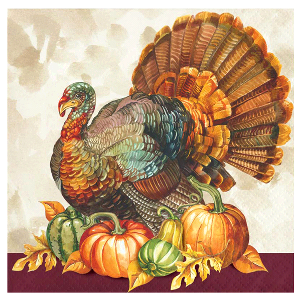 slide 1 of 1, Creative Converting Traditional Turkey Party Beverage Napkin, 16 ct