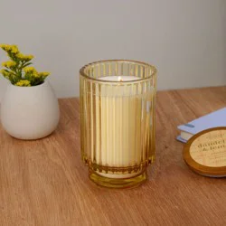 Foundry Candle Co. Tinted Glass Jar Candle with Lid Dandelion and Lemon 12 oz