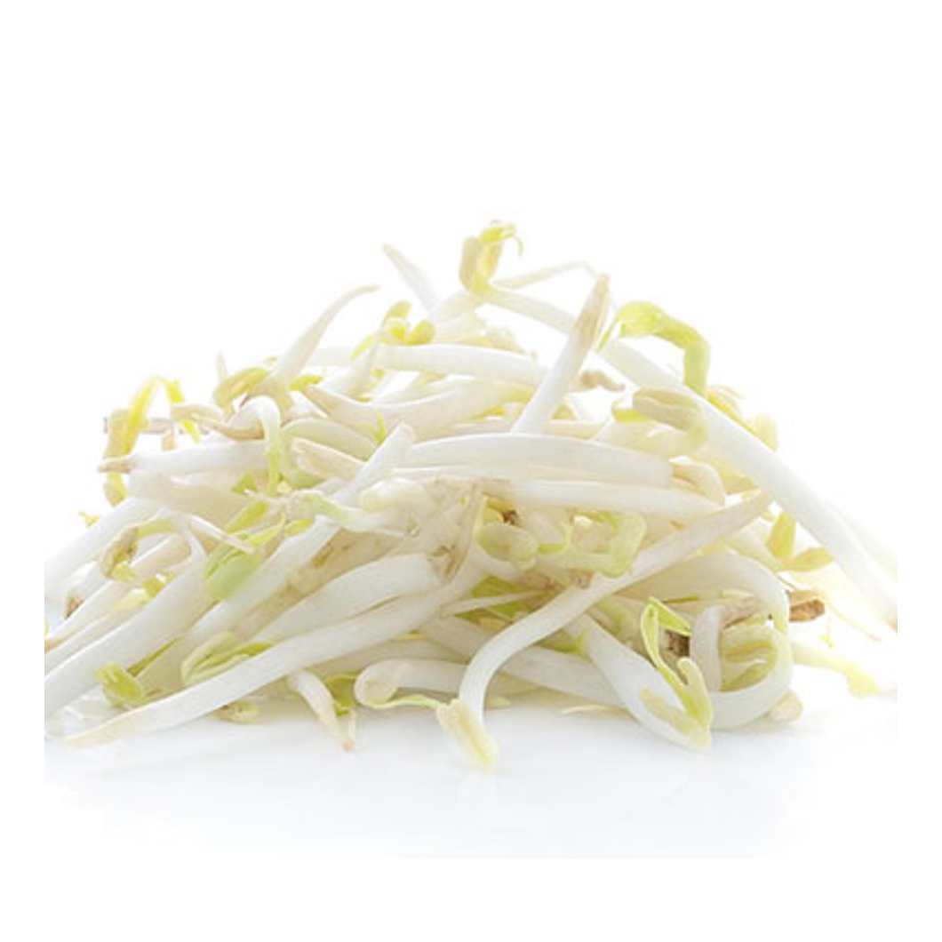 slide 1 of 1, Botanical Interests Mung Bean Sprouts Seeds, 1 ct
