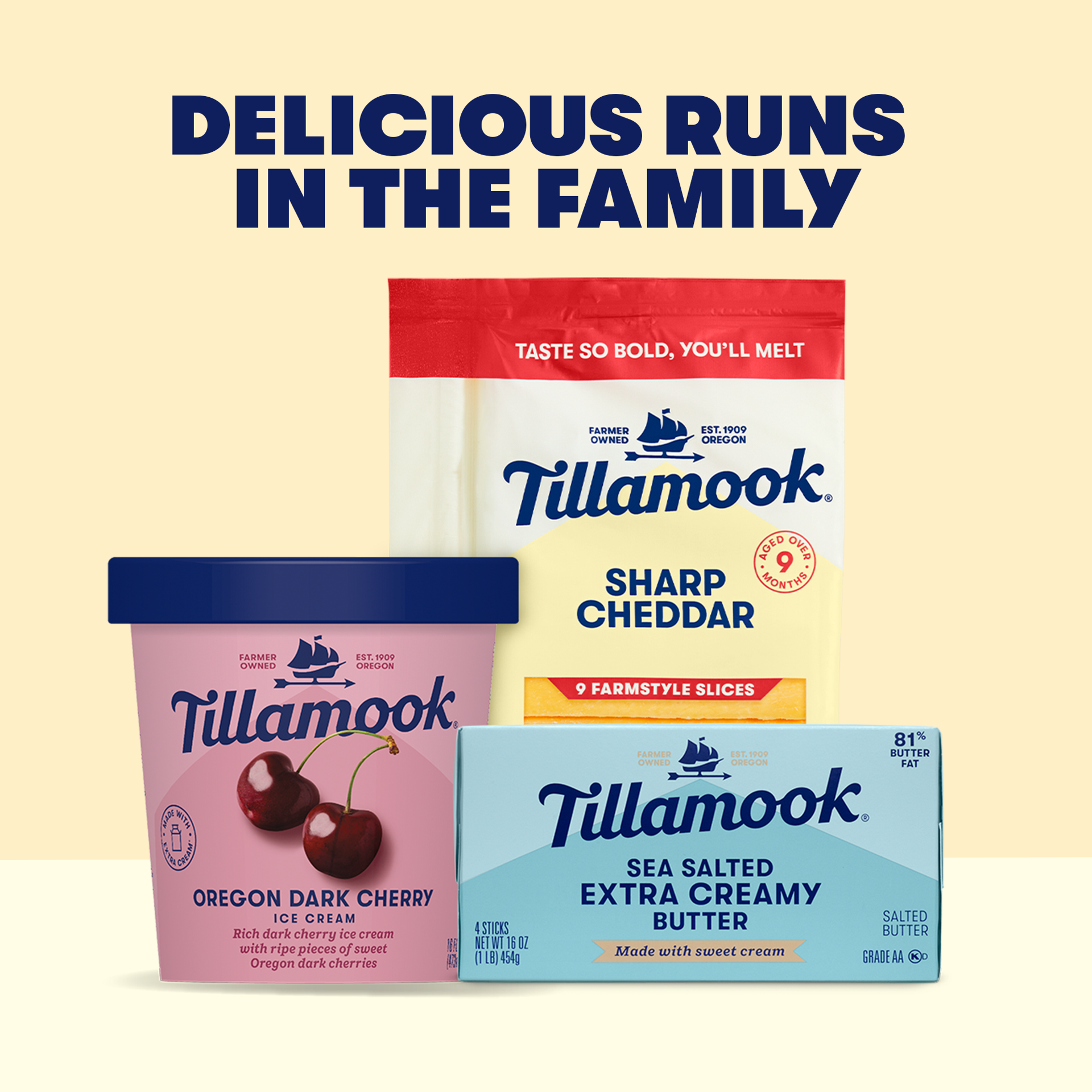 slide 3 of 5, Tillamook Oregon Dark Cherry Ice Cream Pint 16oz, 16fl-oz,