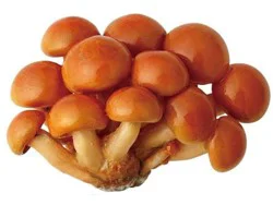 Nameko Mushroom