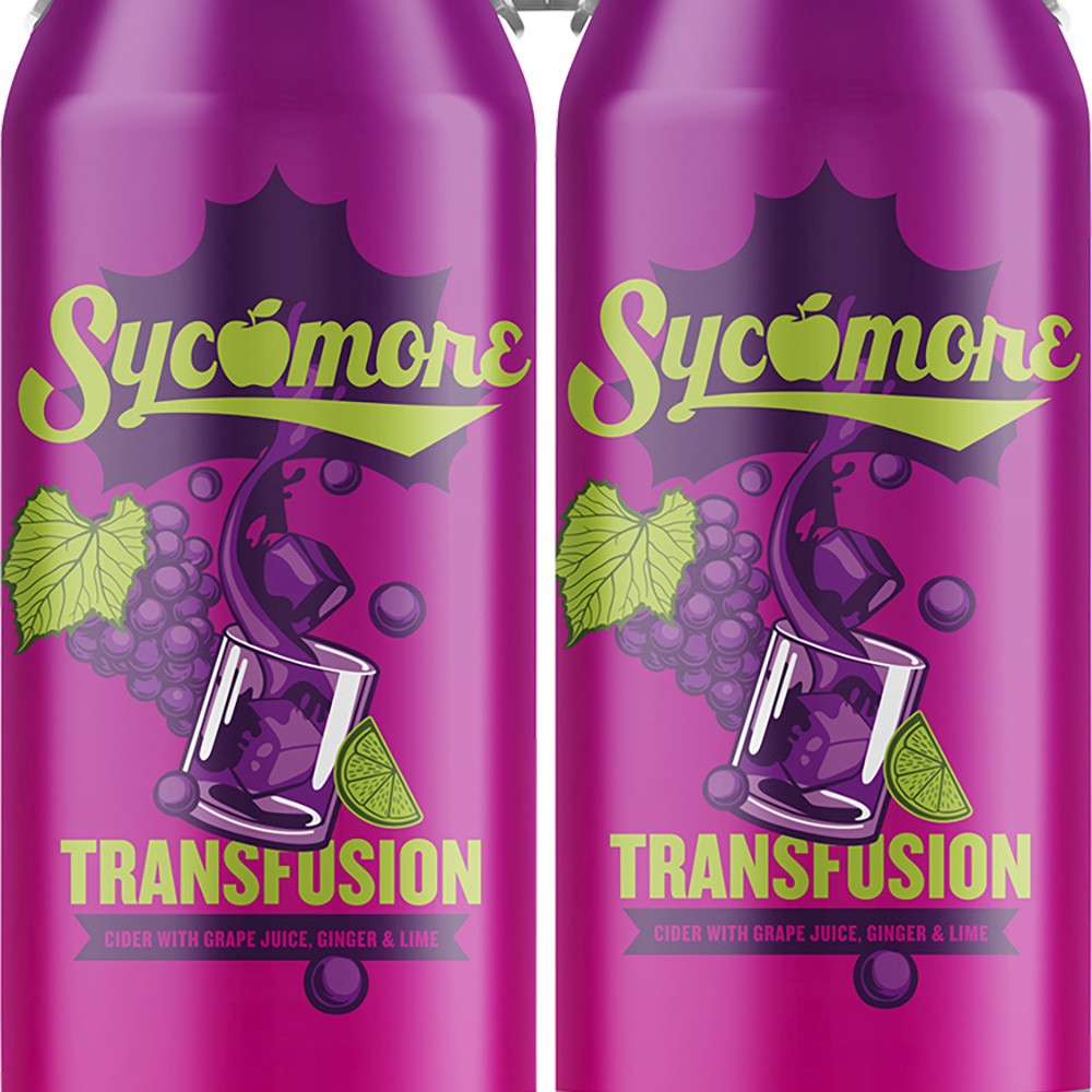 slide 1 of 1, Sycamore Transfusion Cider, 4 ct; 16 oz