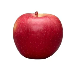 EVERCRISP APPLE - 2 lb