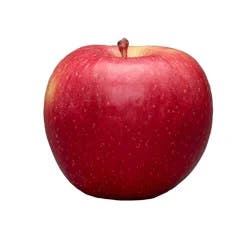EVERCRISP APPLE - 2 lb