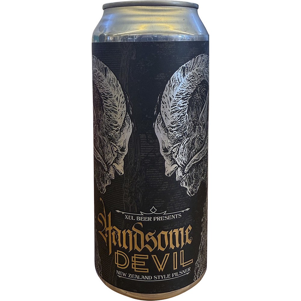 slide 1 of 1, Xul Beer Handsome Devil, 4 ct; 16 oz