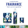 slide 16 of 29, Glade PlugIns Scented Oils Air Freshener Refills, Sea Mist & Cypress, Fresh Collection, 0.67 fl oz Each, 2 Refills, 2 ct