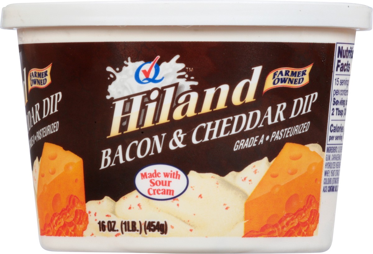 slide 2 of 14, Hiland Dairy Dip-bacon/cheddar, 16 lb