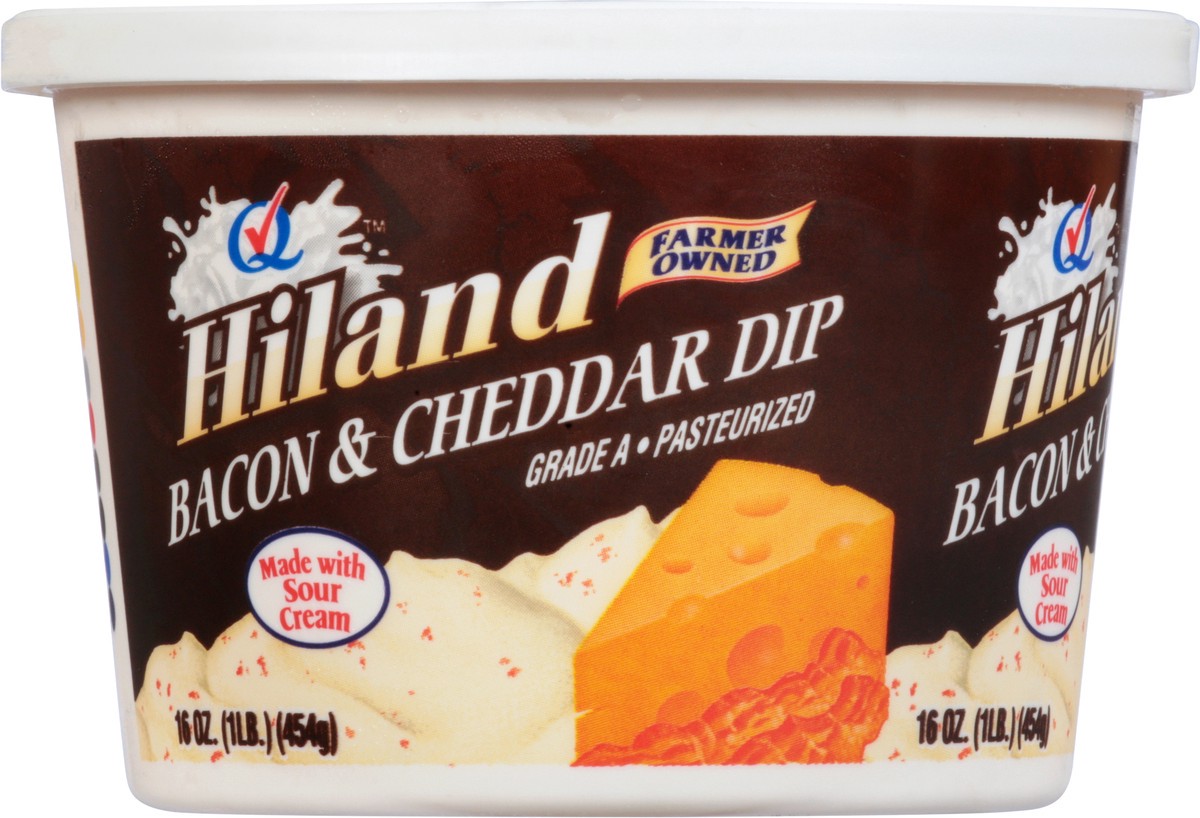 slide 11 of 14, Hiland Dairy Dip-bacon/cheddar, 16 lb