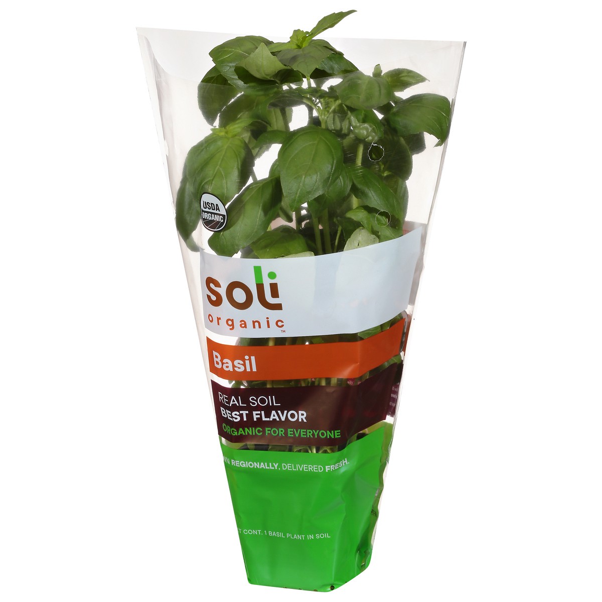 slide 8 of 10, Soli Organic Basil 1 ea, 1 ct