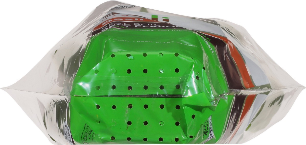 slide 10 of 10, Soli Organic Basil 1 ea, 1 ct