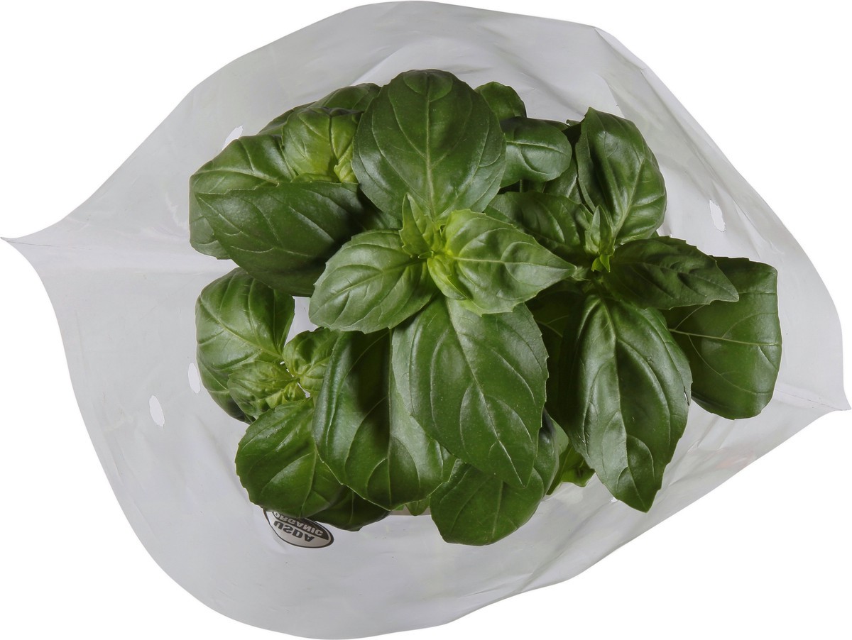 slide 5 of 10, Soli Organic Basil 1 ea, 1 ct