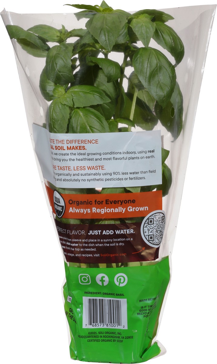 slide 7 of 10, Soli Organic Basil 1 ea, 1 ct