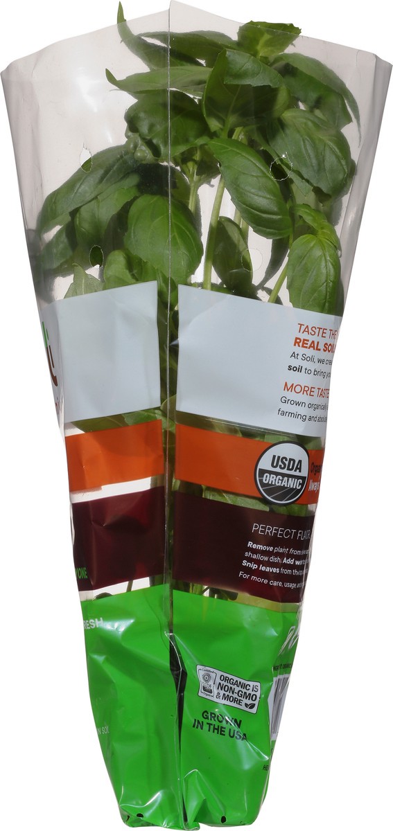 slide 2 of 10, Soli Organic Basil 1 ea, 1 ct