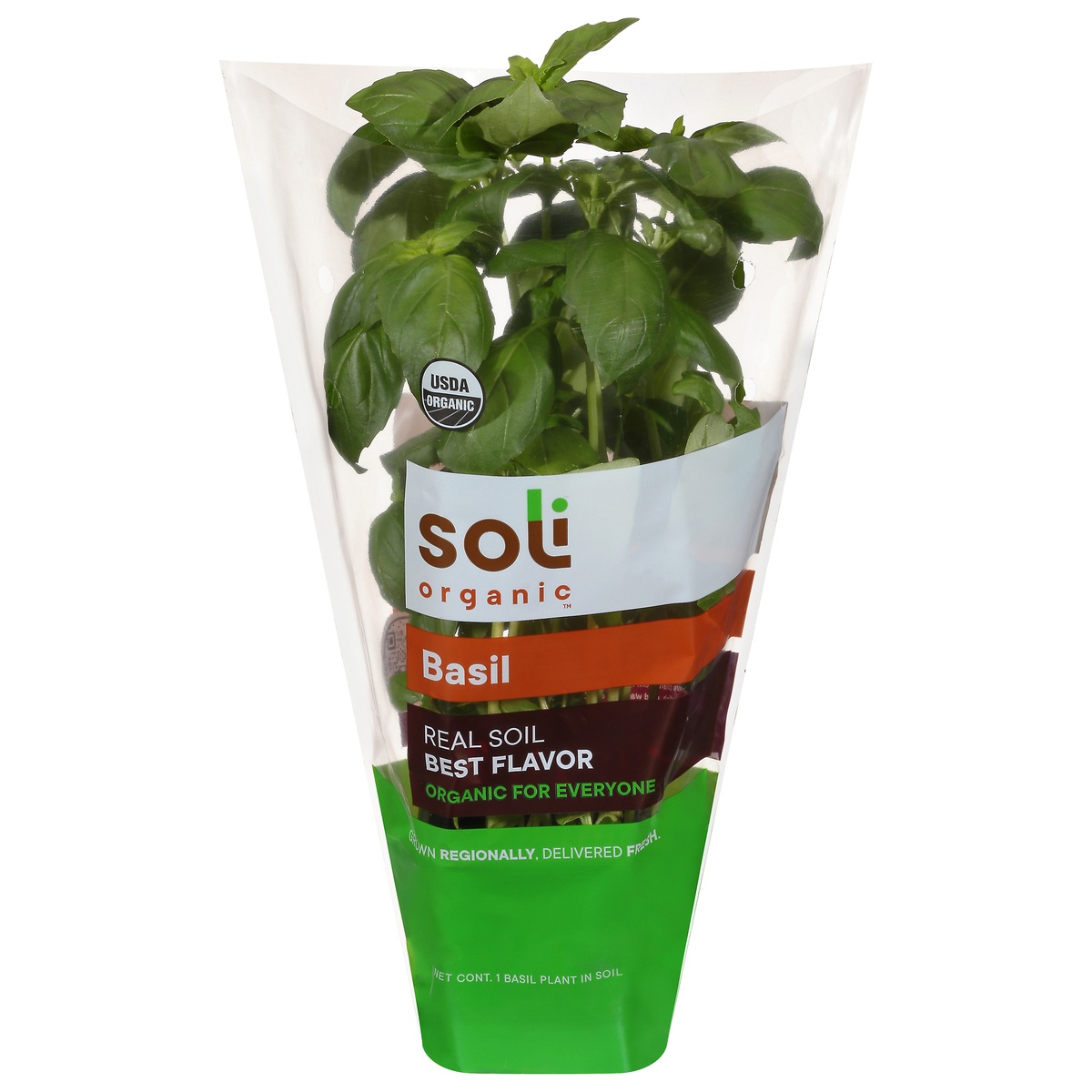 slide 1 of 1, Soli Organic Basil 1 ea, 1 ct