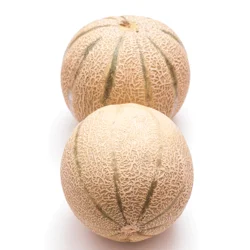 Charentais Melon