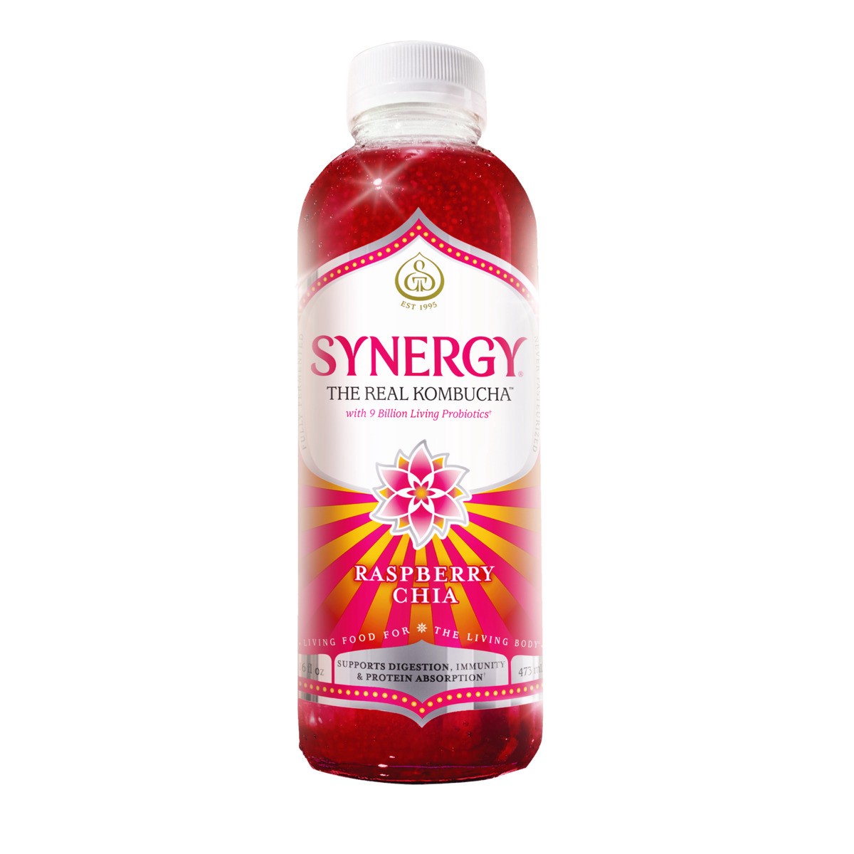 slide 1 of 13, GT's Raspberry Chia Kombucha 16 fl oz, 16 fl oz