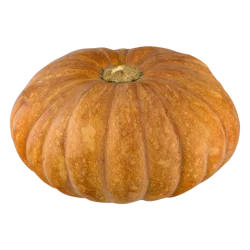 Calabaza Squash