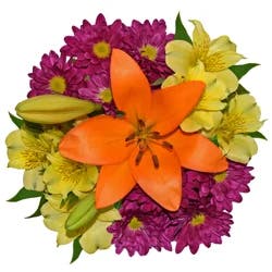 Starter Bunch Bouquet