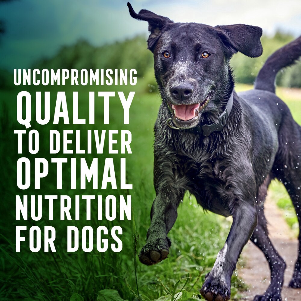 slide 4 of 6, Abound Chicken Peas & Sweet Potatoes Dinner Wet Dog Food, 3.5 oz