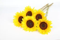 Sunflower Bunch