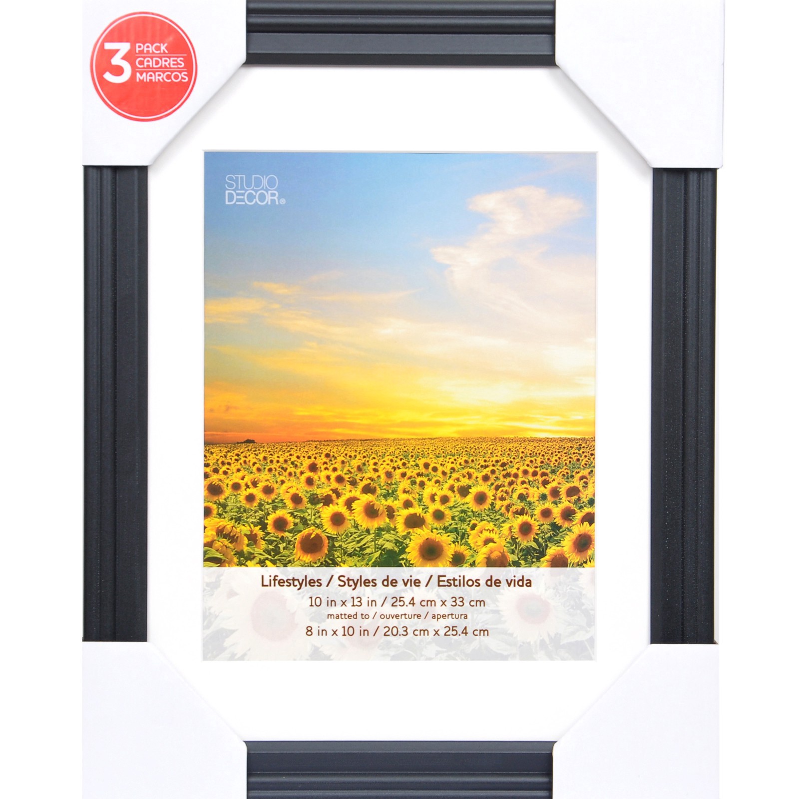 slide 4 of 4, 3 Pack Lifestyles 8" X 10" Black Frames With Mat By Studio Decor, 8 in x 10 in
