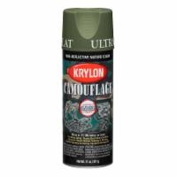 slide 1 of 1, Krylon Woodland Light Green Spray Paint, 11 oz