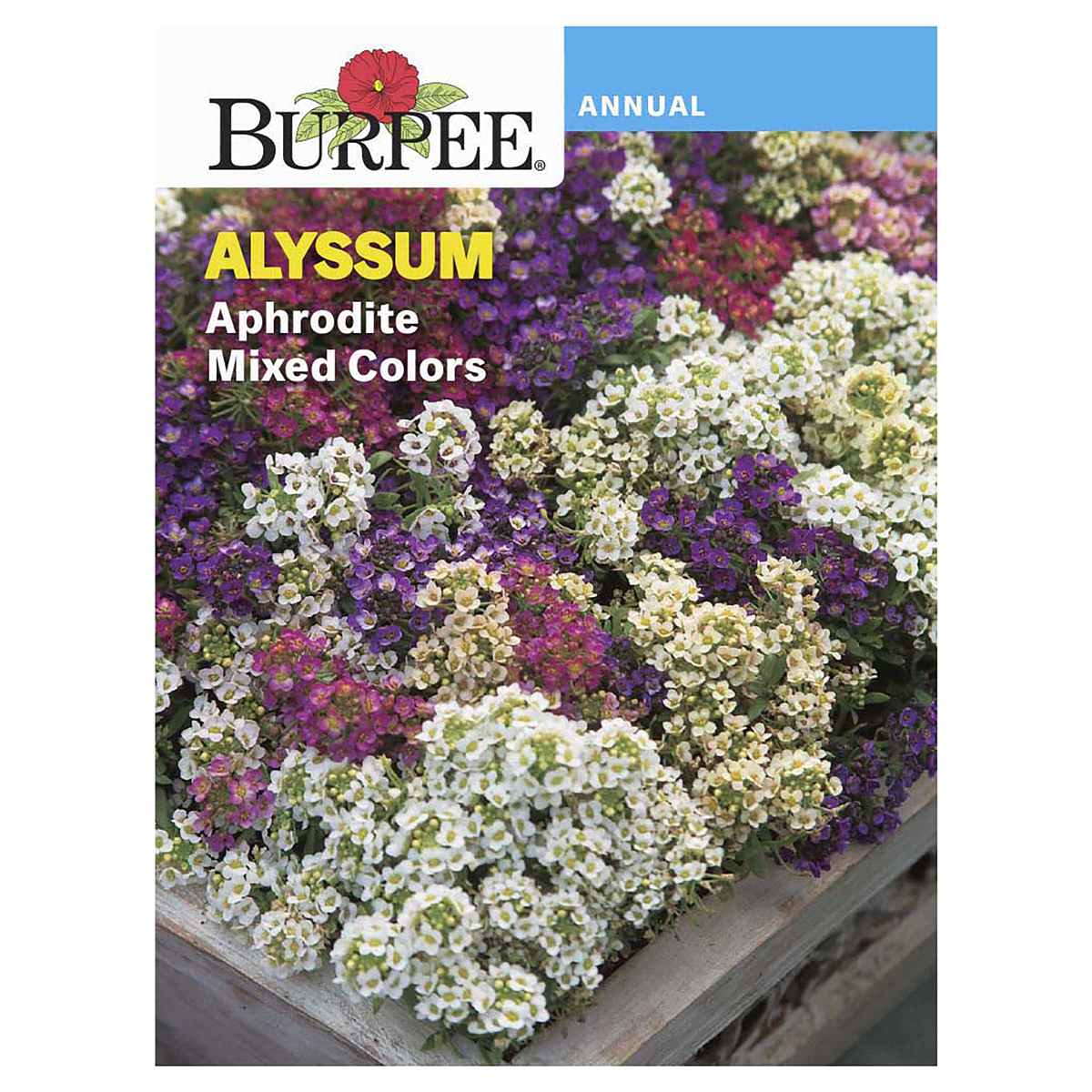 slide 1 of 5, Burpee Alyssum Aphrodite Mix Seeds, 1 ct