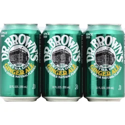 Dr. Brown's Natural Flow Soda, Extra Dry Ginger Ale, Caffeine Free