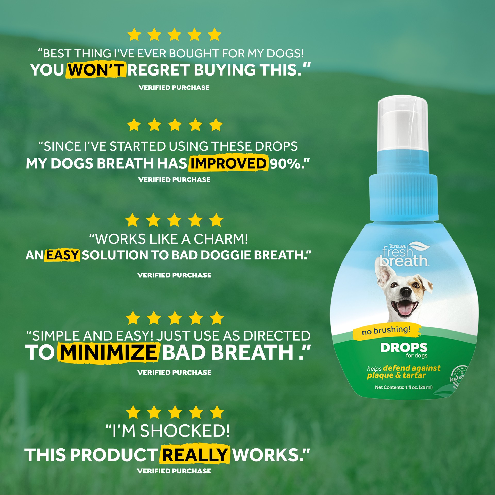 slide 4 of 10, TropiClean Fresh Breath Dog Dental Water Additive Concentrate, 2.2 oz, 1 ct