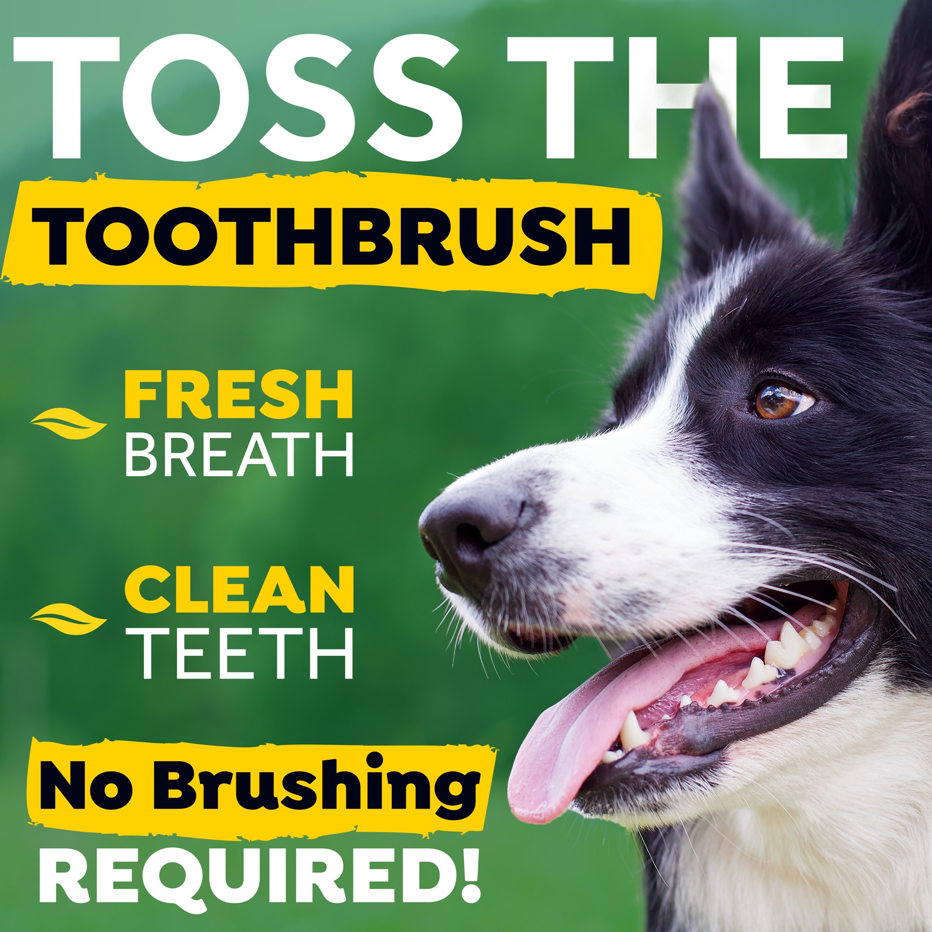 slide 5 of 10, TropiClean Fresh Breath Dog Dental Water Additive Concentrate, 2.2 oz, 1 ct