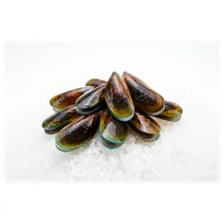 Whole Cooked Green Mussel with Juice