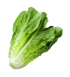 Romaine Bunch