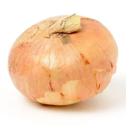 Vidalia Organic Onions Bag - 3 lb