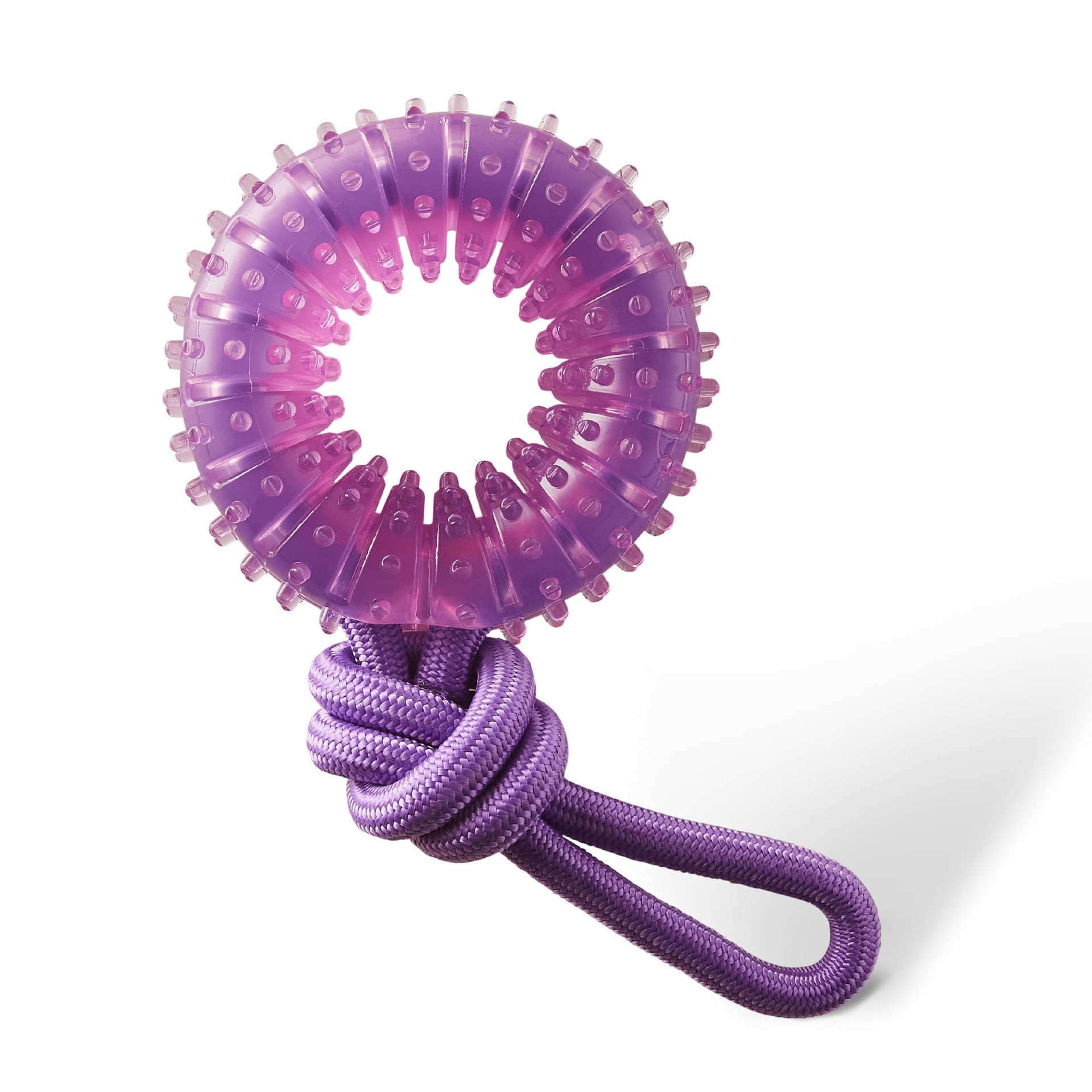 slide 1 of 1, Outward Hound Purple Dental Chew Wheel Dog Toy, Medium, 1 ct