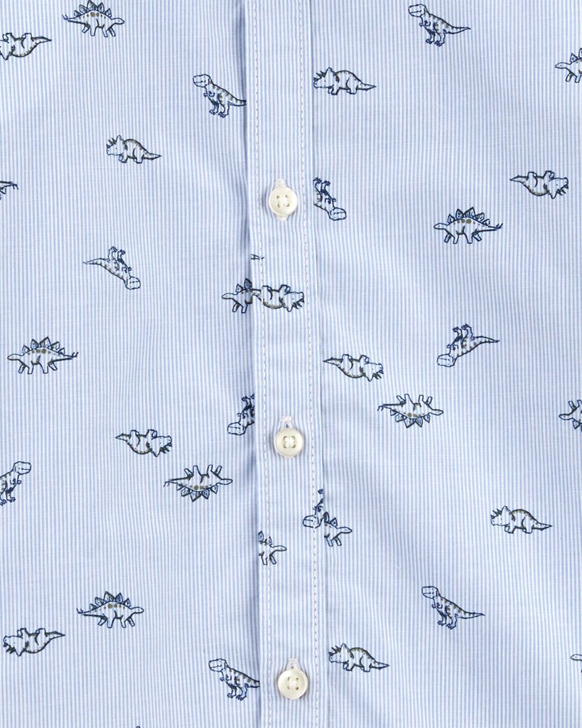 slide 2 of 3, Carter's Baby 2-Piece Dinosaur Button-Front Shirt & Canvas Set Blue/Green 9M, 1 ct