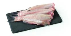 Fresh Catfish Whole