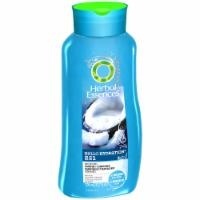 slide 1 of 1, Herbal Essences Hello Hydration 2 in 1 Moisturizing Shampoo & Conditioner - Coconut, 23.7 oz