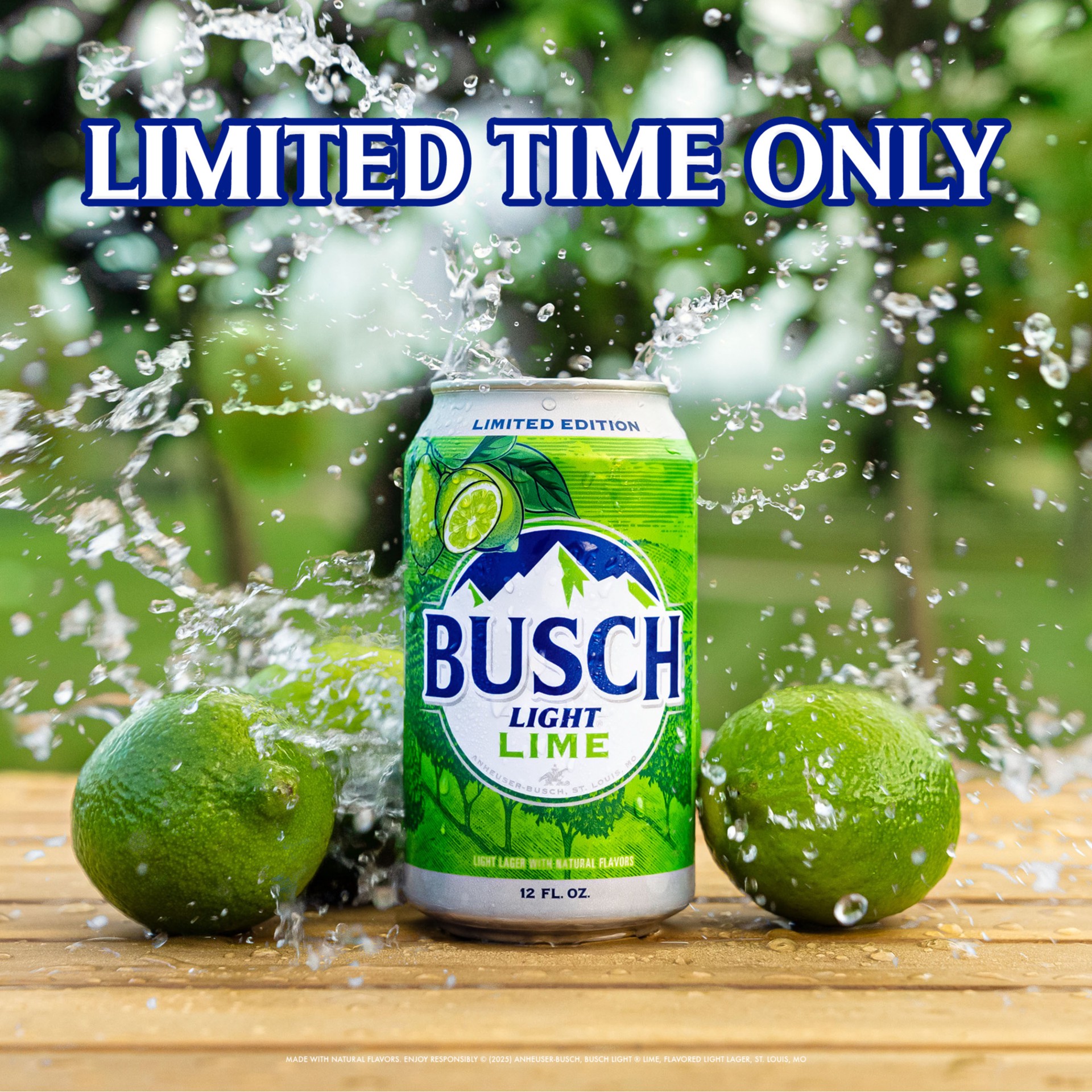 slide 4 of 8, Busch Light Lime American Lager Beer 12 Pack 12 fl oz Cans, 12 ct; 12 oz